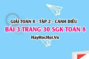 Bài 3 trang 30 Toán 8 Tập 2 Cánh Diều